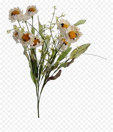 flowers png transparent|aesthetic flower transparent png.